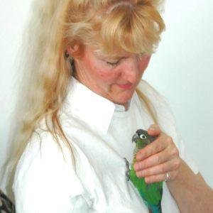 Reiki Animal Initiations