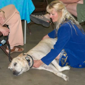 Leslie doing hands-on-healing work with a dog.