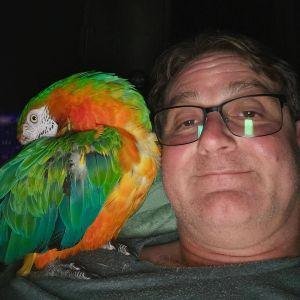 Nathan Pyle (with his Catalina Macaw, Lina)