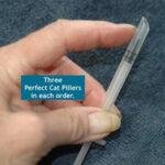 Perfect Cat Piller