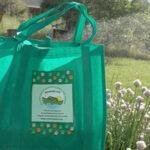 Emerald Ark Shopping Bag